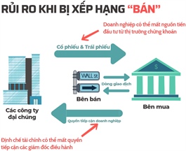 IR Awards 2025: Gần 40 định chế tài chính tham gia đánh giá hoạt động IR của các doanh nghiệp niêm yết